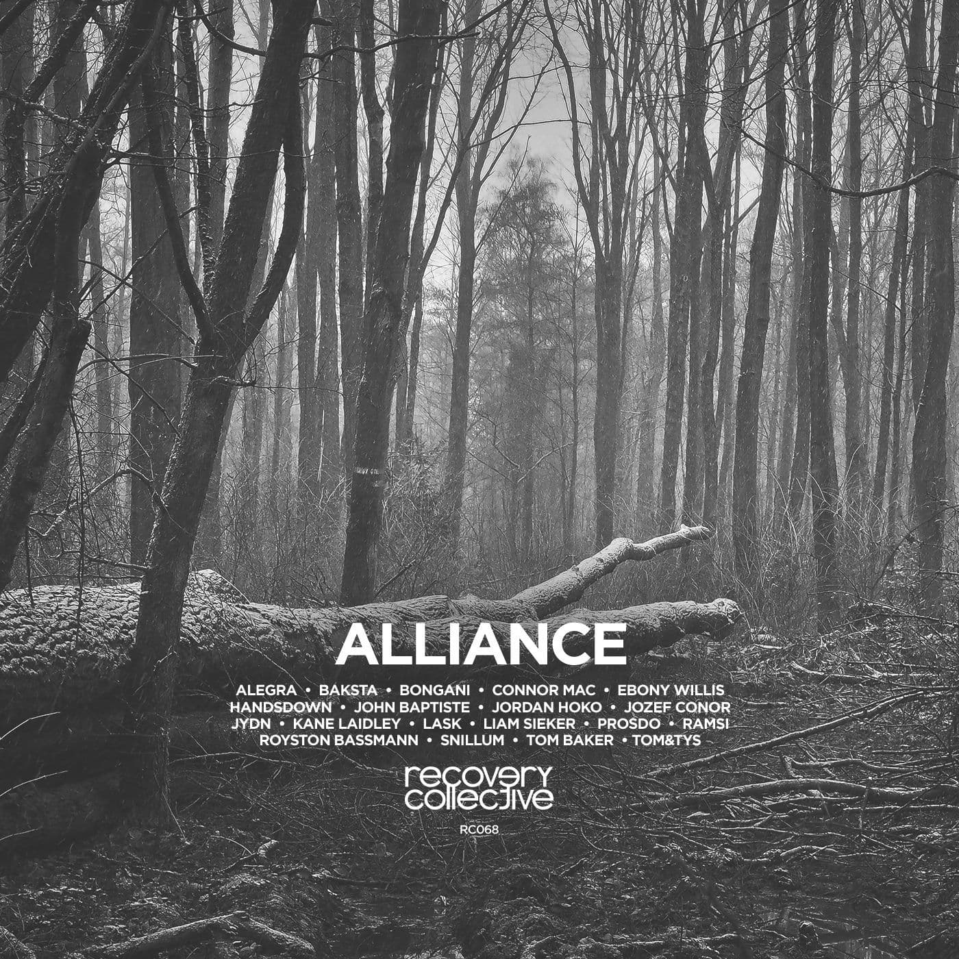 Poster for Alliance VA - A compilation by Recovery Collective